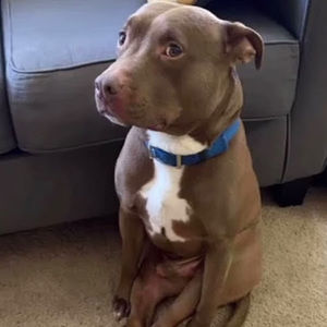 Meet your Posher, Wang